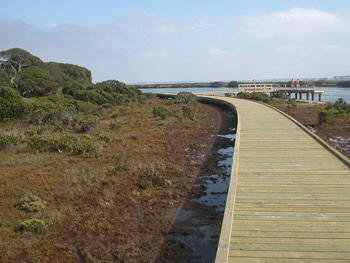 BarwonBoardwalk-4